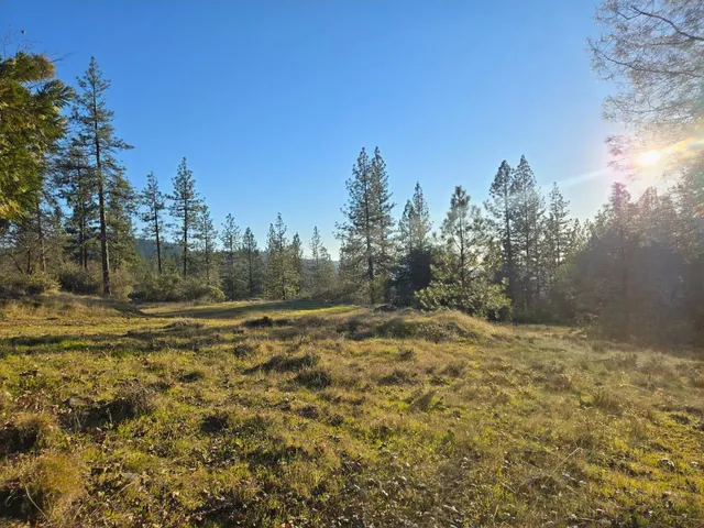 $50,000 | 0 Double Eagle Way, Brownsville, CA 95919