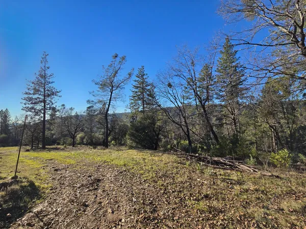 a view of a field with trees in the background