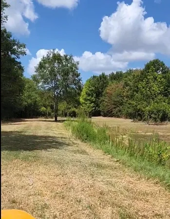 a view of a field with an ocean