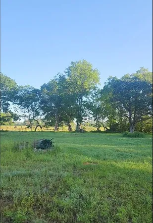 a view of a grassy field with trees