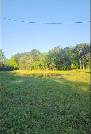 a view of a field with an ocean