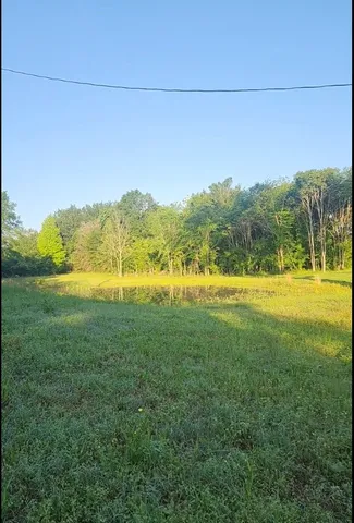 a view of a field with an ocean