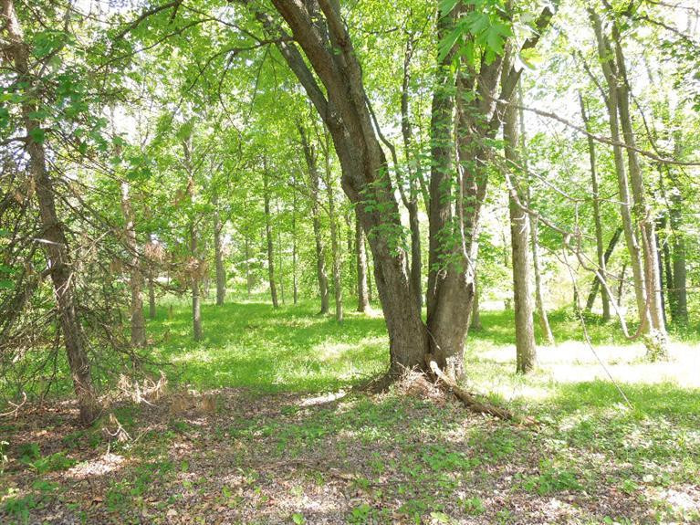 5350 Tompkins Road Onondaga, MI 49264 - Photo 37 of 62 Photo 37