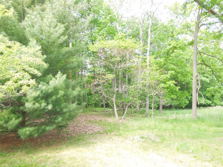 5350 Tompkins Road Onondaga, MI 49264 - Photo 47 of 62 Photo 47
