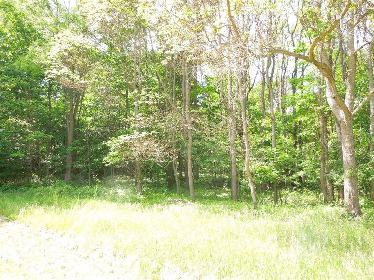 5350 Tompkins Road Onondaga, MI 49264 - Photo 53 of 62 Photo 53