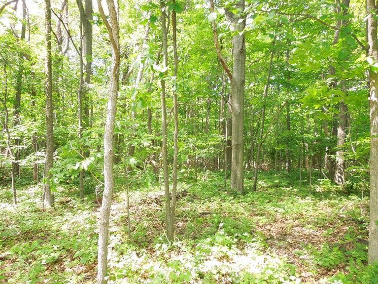 5350 Tompkins Road Onondaga, MI 49264 - Photo 54 of 62 Photo 54