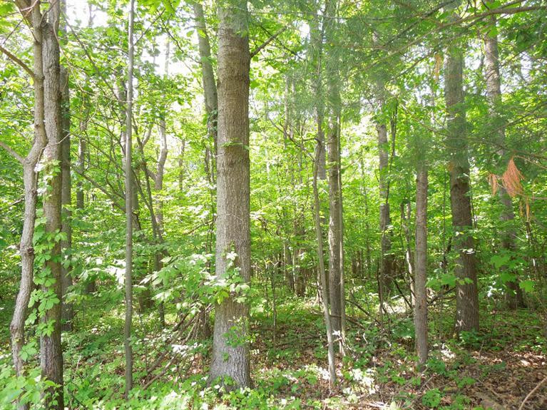 5350 Tompkins Road Onondaga, MI 49264 - Photo 55 of 62 Photo 55