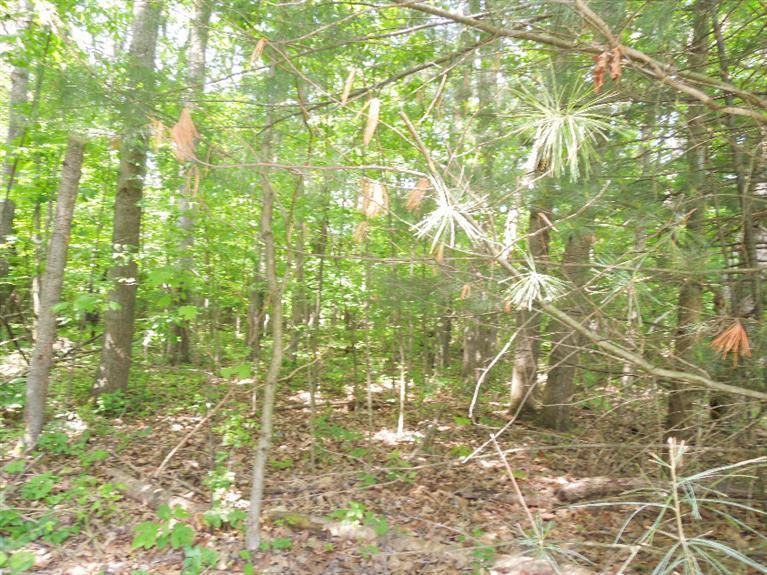 5350 Tompkins Road Onondaga, MI 49264 - Photo 56 of 62 Photo 56