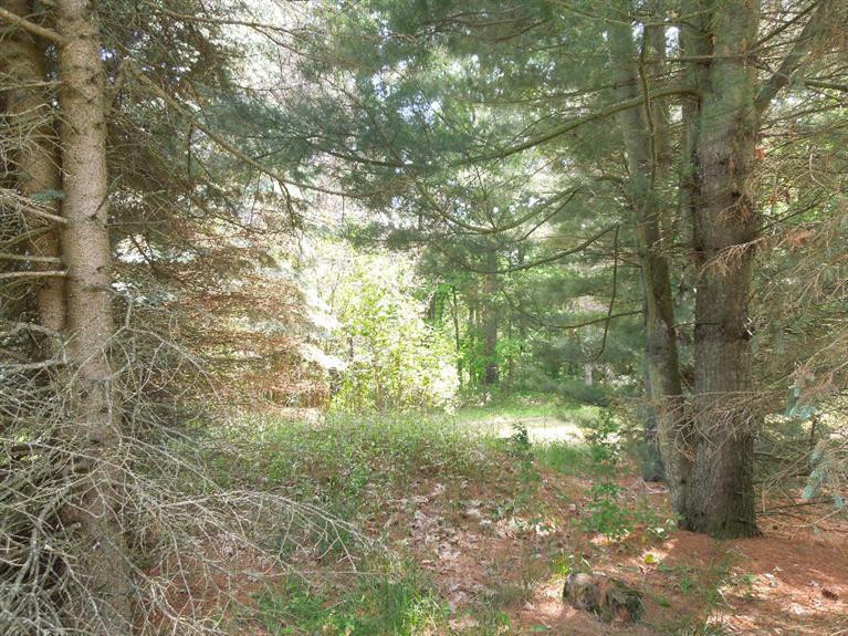 5350 Tompkins Road Onondaga, MI 49264 - Photo 57 of 62 Photo 57
