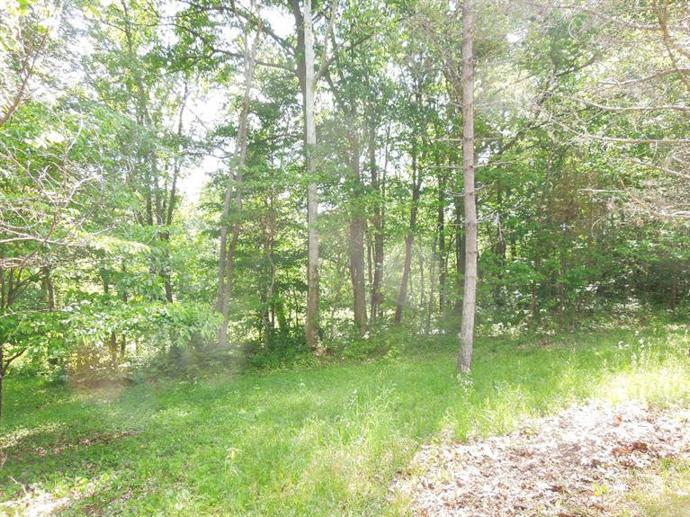 5350 Tompkins Road Onondaga, MI 49264 - Photo 60 of 62 Photo 60