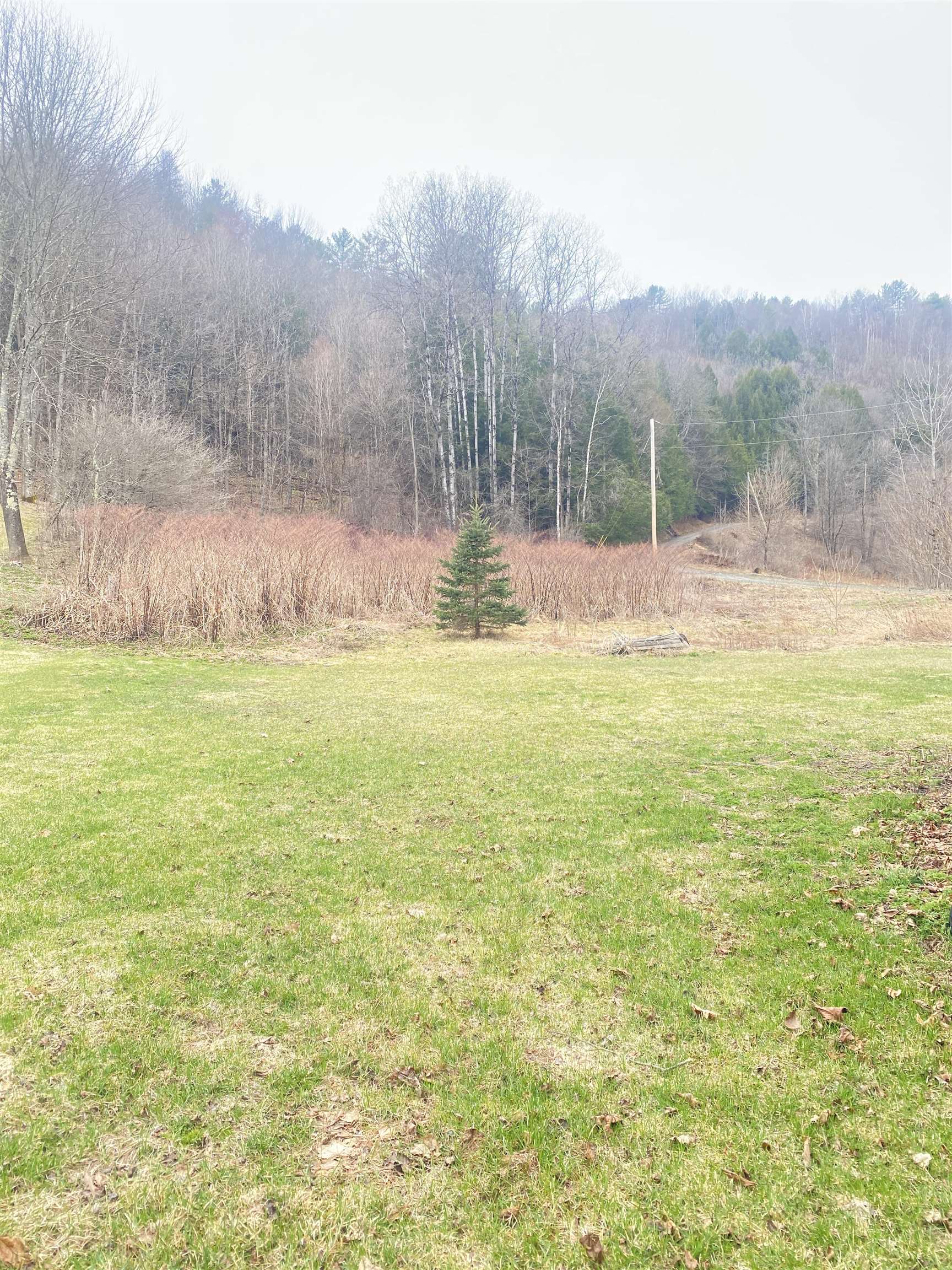 136 Store Hill Road Bethel, VT 05032 - Photo 2 of 13