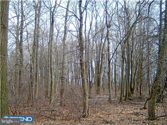 4450 Stump Road Doylestown, PA 18902 - Photo 11 of 12 Gallery Image 11