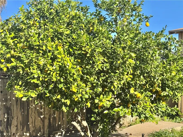 $535,000 | 32156 Machado Street, Lake Elsinore, CA 92530