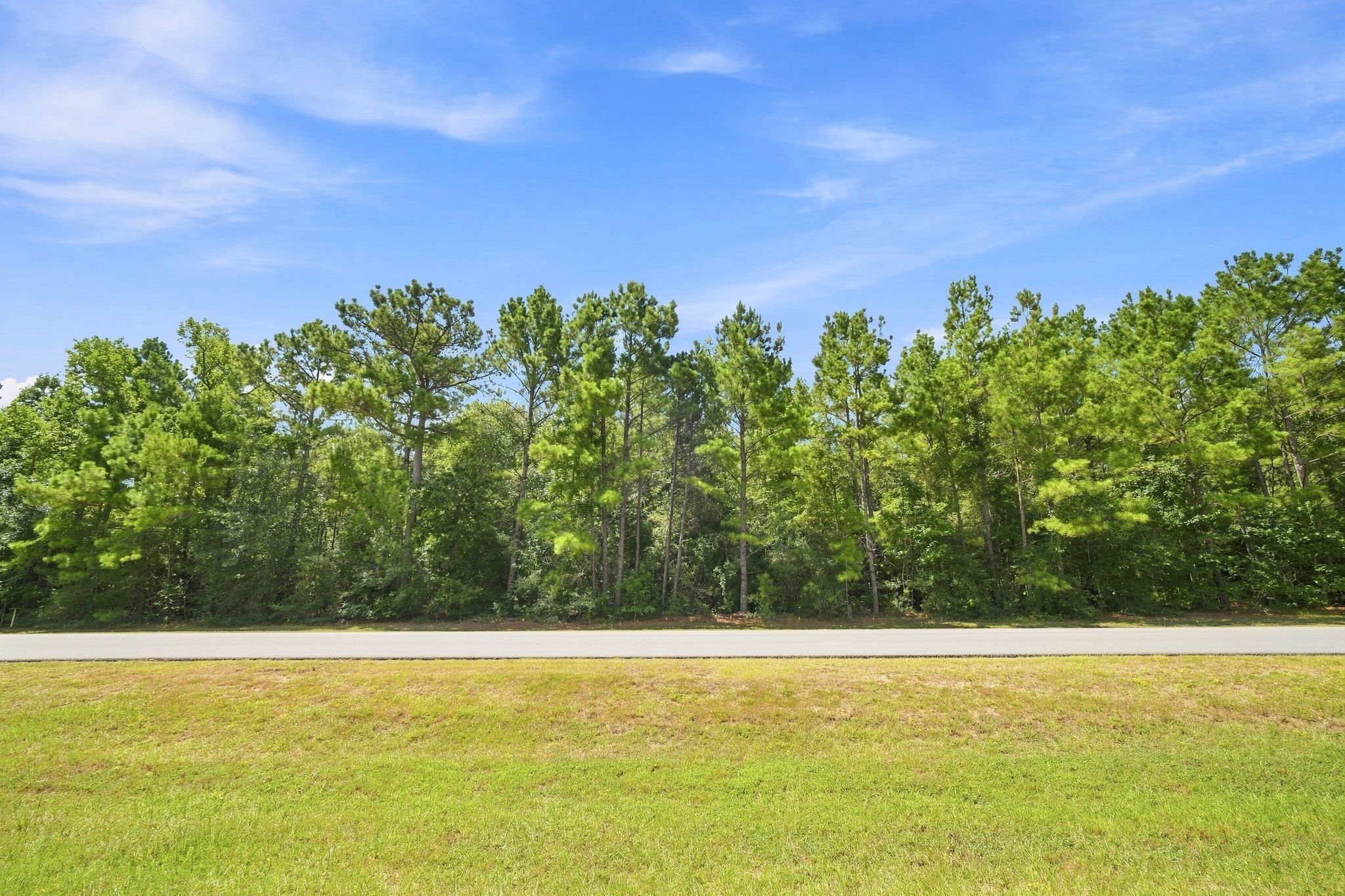 26063 Crown Ranch Boulevard Montgomery, TX 77316 - Photo 6 of 17 Gallery Image 6