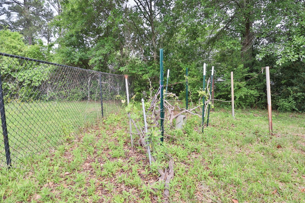 1409 Cloverdale Road Columbus, GA 31904 - Photo 43 of 49 Back Yard