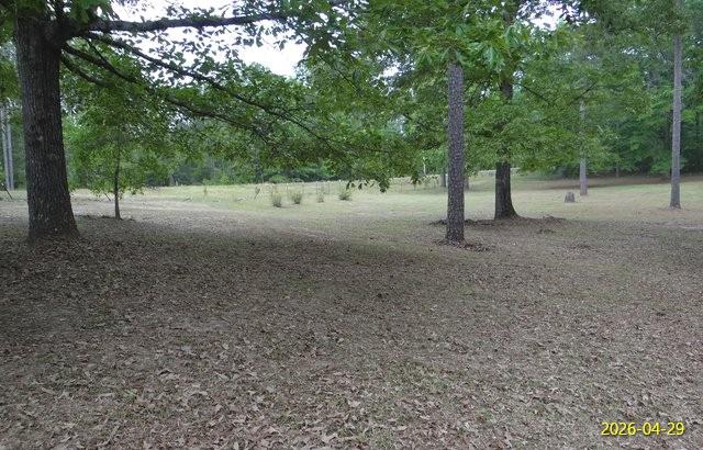 144 Old Sardis Church Road Clayton, AL 36016 - Photo 4 of 34 a view of a forest with trees