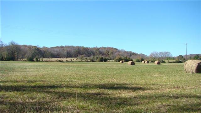 0 East Beaverdam Road Centerville, TN 37033 - Photo 13 of 15 Gallery Image 13