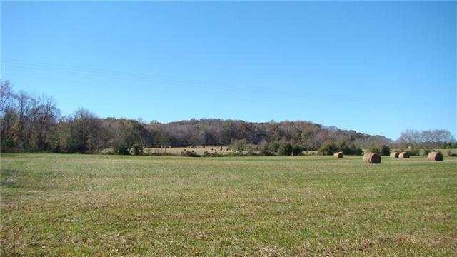 0 East Beaverdam Road Centerville, TN 37033 - Photo 14 of 15 Gallery Image 14
