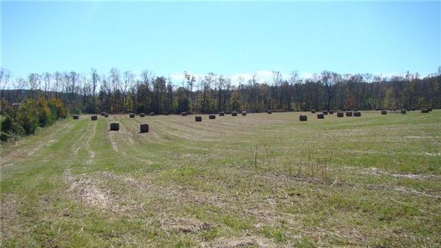 0 East Beaverdam Road Centerville, TN 37033 - Photo 3 of 15 Gallery Image 3