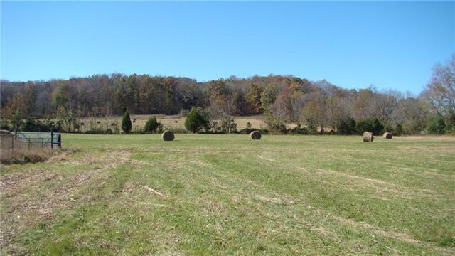 0 East Beaverdam Road Centerville, TN 37033 - Photo 4 of 15 Gallery Image 4