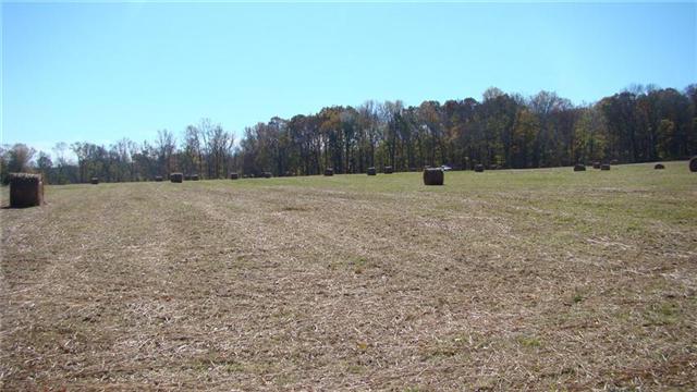 0 East Beaverdam Road Centerville, TN 37033 - Photo 5 of 15 Gallery Image 5