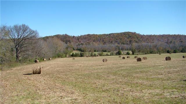 0 East Beaverdam Road Centerville, TN 37033 - Photo 8 of 15 Gallery Image 8