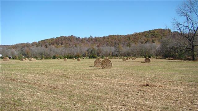 0 East Beaverdam Road Centerville, TN 37033 - Photo 9 of 15 Gallery Image 9