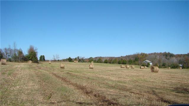 0 East Beaverdam Road Centerville, TN 37033 - Photo 10 of 15 Gallery Image 10