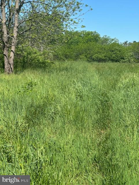 0 Old Easton Road Pipersville, PA 18947 - Photo 5 of 6