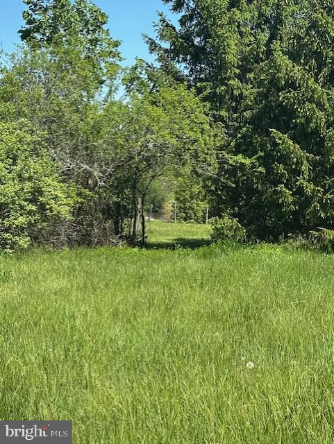 0 Old Easton Road Pipersville, PA 18947 - Photo 6 of 6