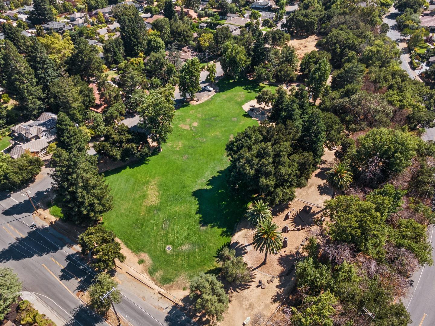 143 Waverly Place Mountain View, CA 94040 - Photo 51 of 52 a view of a garden with flowers