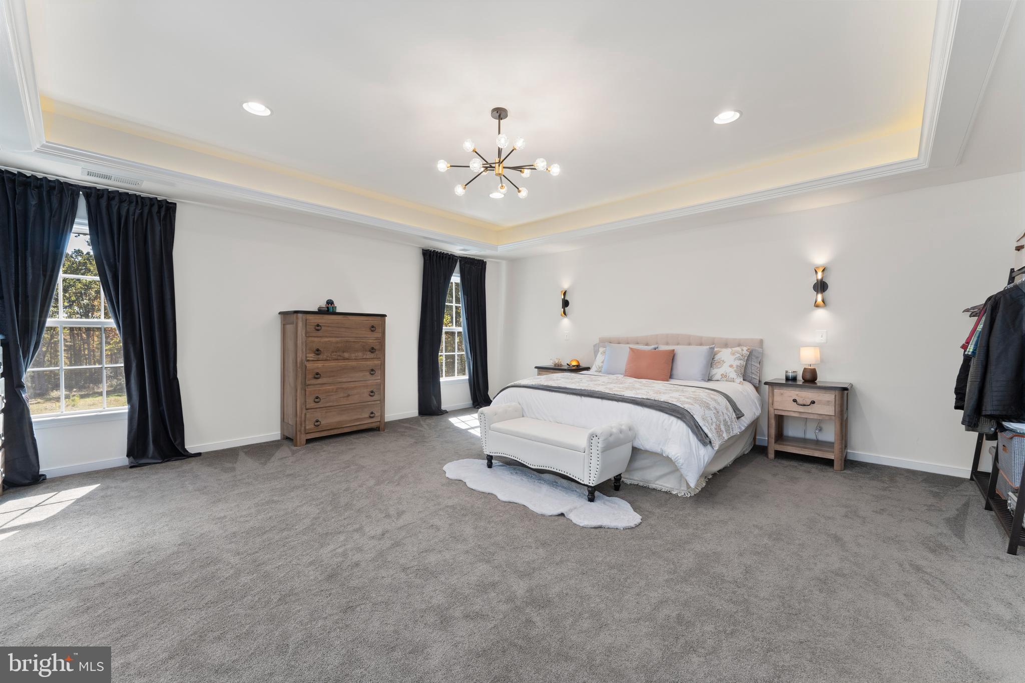 80 Shackelford Well Road Fredericksburg, VA 22406 - Photo 40 of 108 Primary bedroom with tray lighting