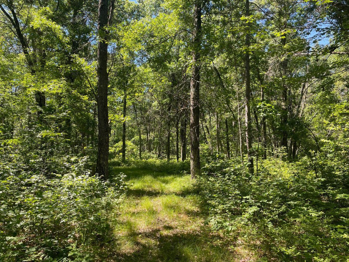 12997 East Mail Road Gordon, WI 54838 - Photo 58 of 65