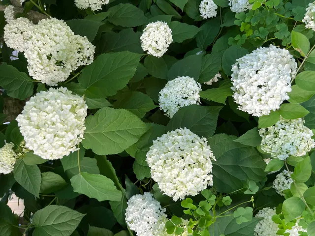 $995,000 | W222N8208 Plainview Parkway, Lisbon, WI 53089