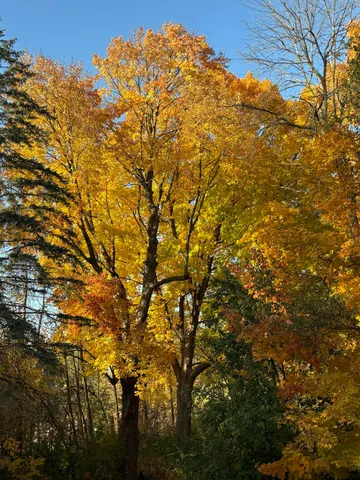 $995,000 | W222N8208 Plainview Parkway, Lisbon, WI 53089