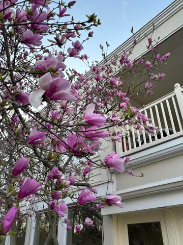 $995,000 | W222N8208 Plainview Parkway, Lisbon, WI 53089