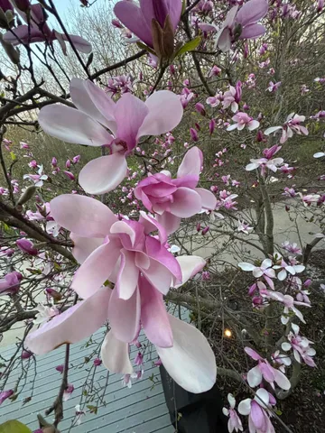 $995,000 | W222N8208 Plainview Parkway, Lisbon, WI 53089