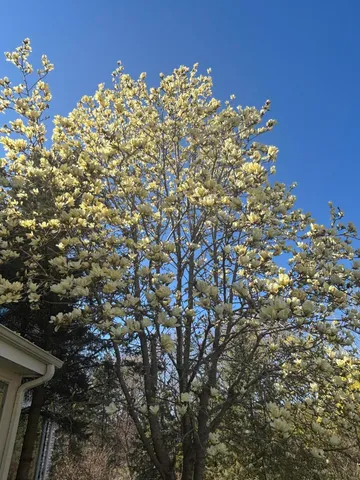 $995,000 | W222N8208 Plainview Parkway, Lisbon, WI 53089