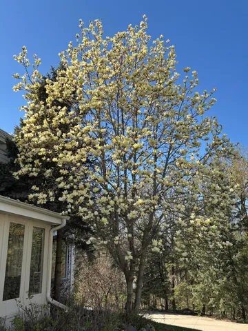 $995,000 | W222N8208 Plainview Parkway, Lisbon, WI 53089