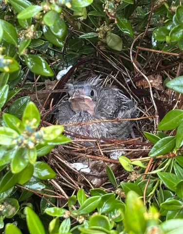 $995,000 | W222N8208 Plainview Parkway, Lisbon, WI 53089