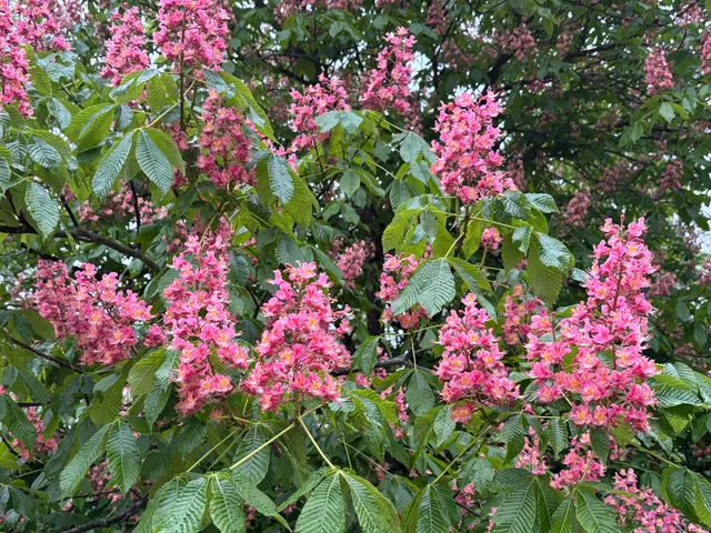 $995,000 | W222N8208 Plainview Parkway, Lisbon, WI 53089