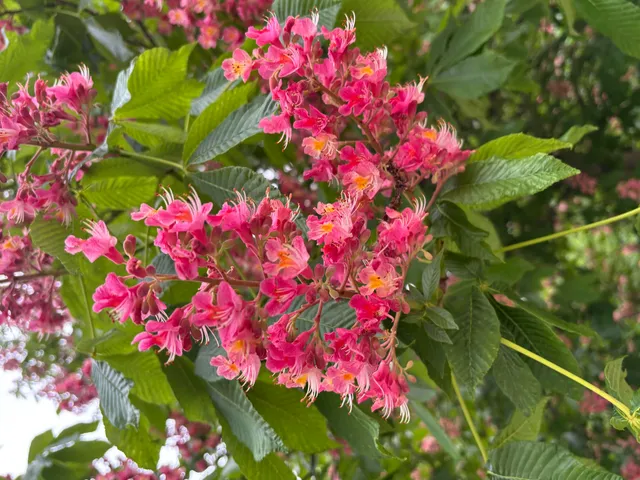 $995,000 | W222N8208 Plainview Parkway, Lisbon, WI 53089