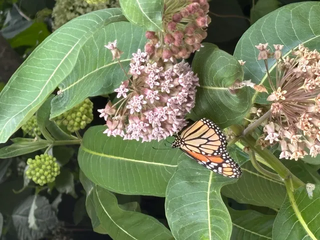 $995,000 | W222N8208 Plainview Parkway, Lisbon, WI 53089