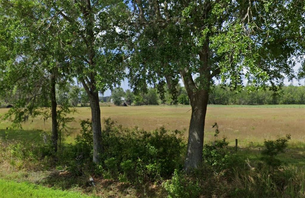 13480 Moore Road Lakeland, FL 33809 - Photo 1 of 1 Gallery Image 1