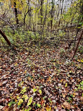 $7,900 | Lot 302 Hilcrest/helen Drive, Mayville, MI 48744