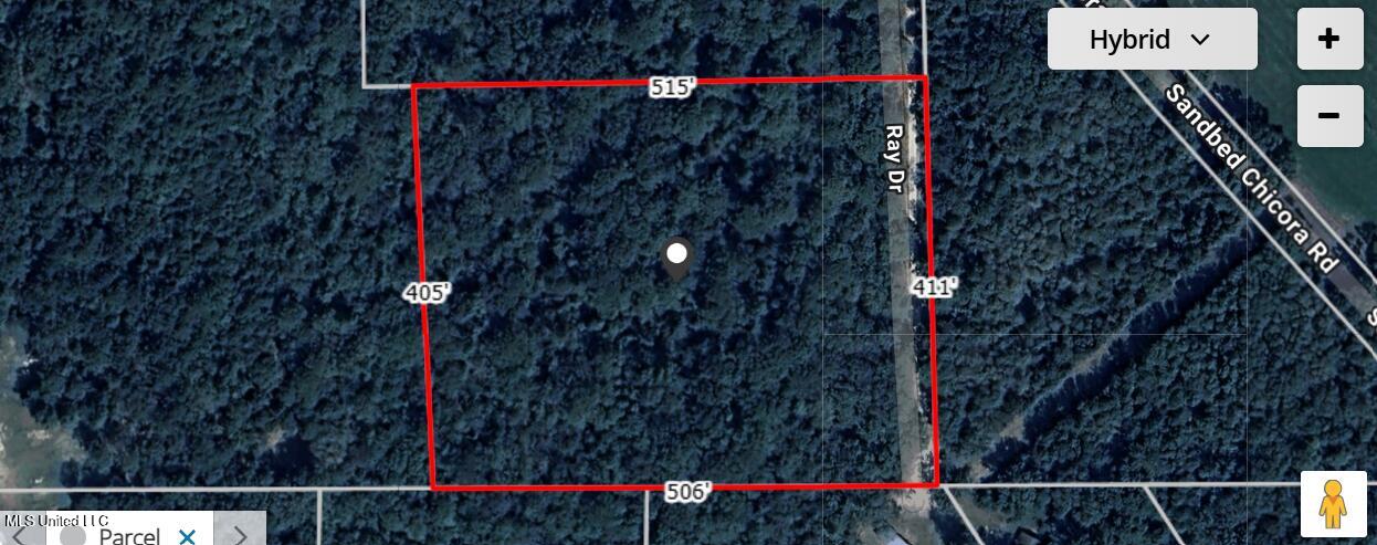 Us-45 Buckatunna, MS 39322 - Photo 7 of 8 Satellite Image of Property