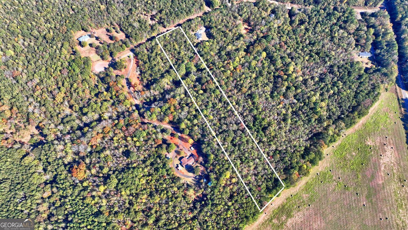 Lot 22 Shady Farms Road Monticello, GA 31064 - Photo 11 of 21