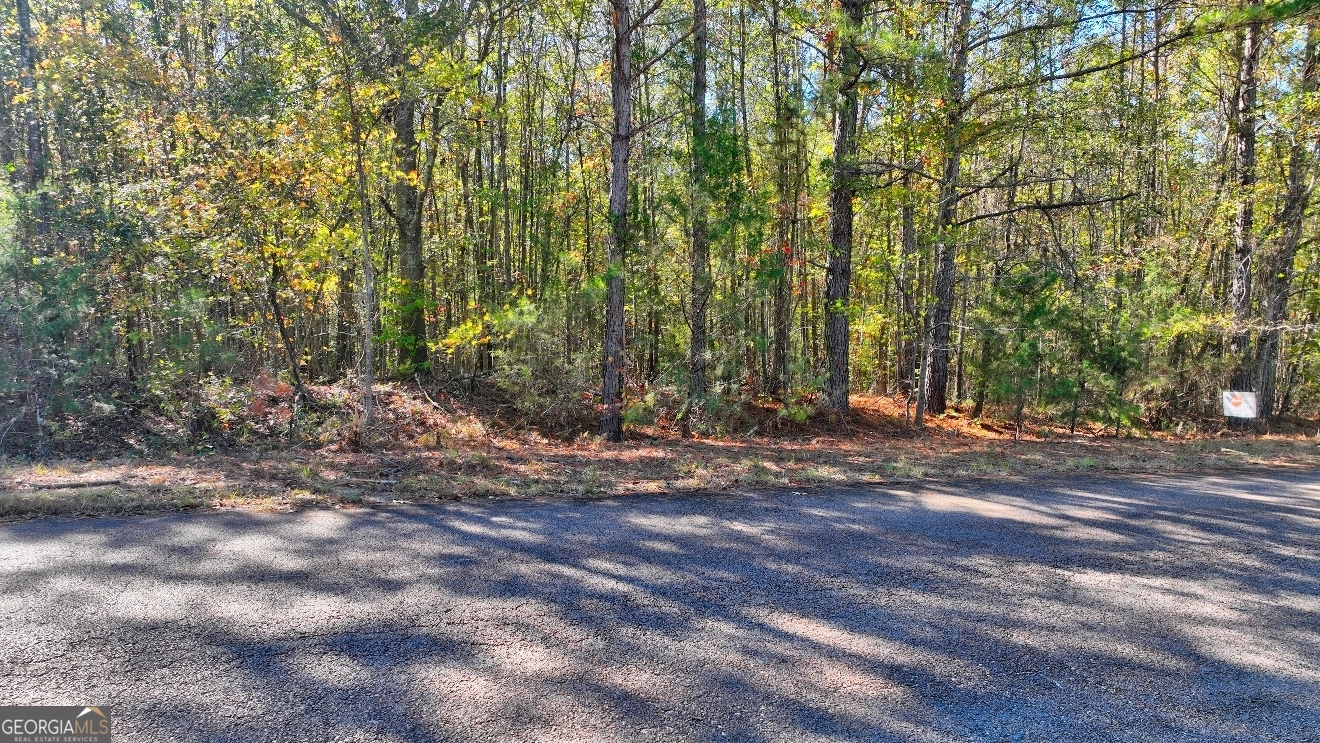 Lot 22 Shady Farms Road Monticello, GA 31064 - Photo 14 of 21 a view of a tree with a yard