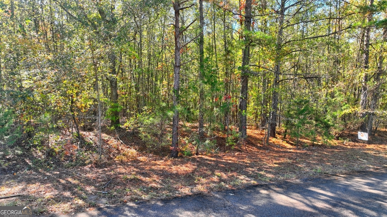 Lot 22 Shady Farms Road Monticello, GA 31064 - Photo 15 of 21 a view of outdoor space and trees