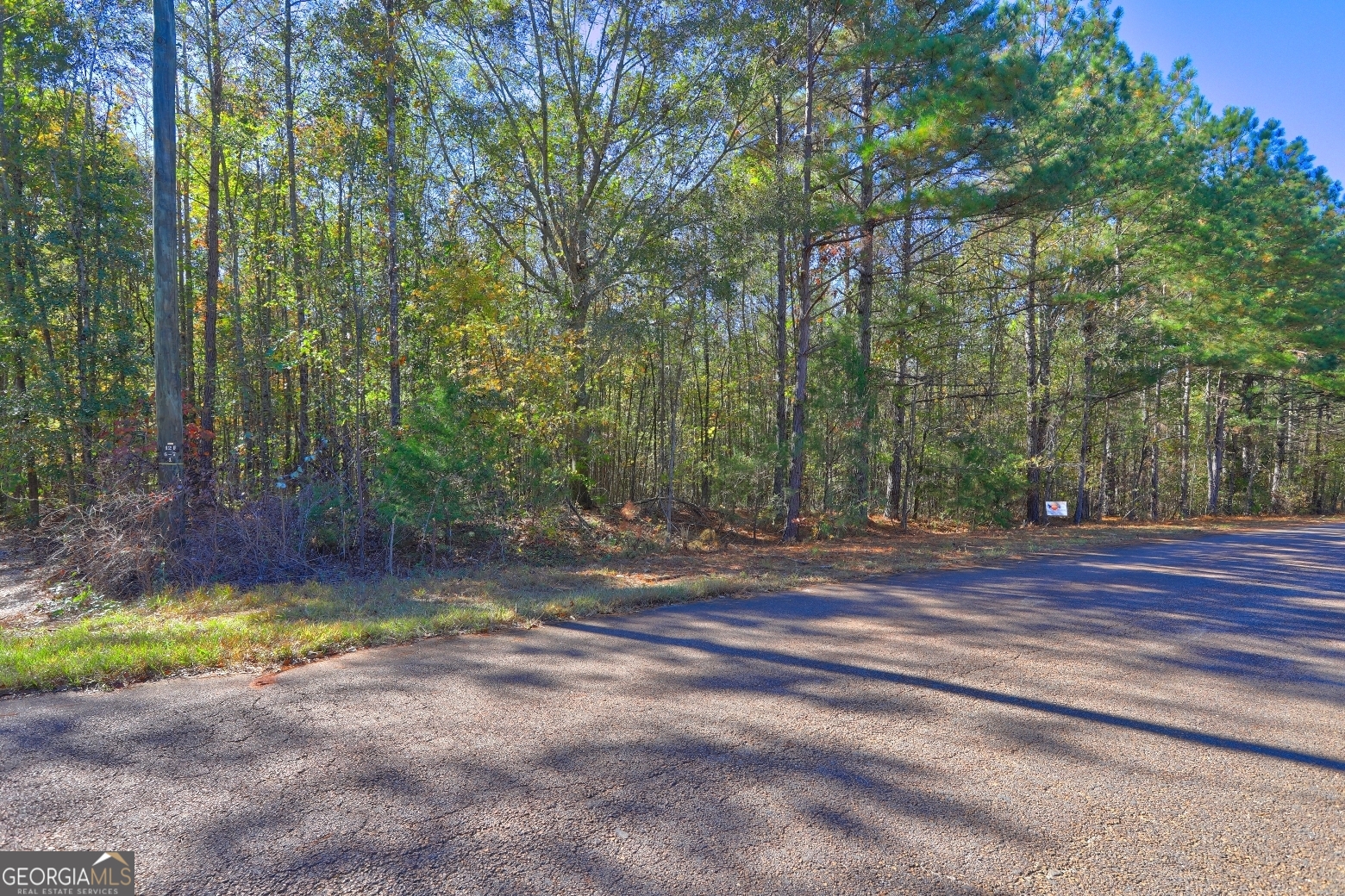 Lot 22 Shady Farms Road Monticello, GA 31064 - Photo 17 of 21 a view of a backyard with large trees